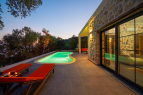 Villa zeytin patara